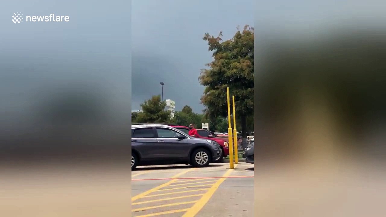 Man breaks car window to rescue dog trapped in hot car