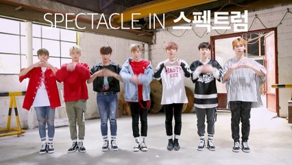 [ALL THE K-DANCE] 출연자 소개 #1 스펙트럼  (SPECTRUM)