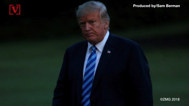 Obama's Former Photographer Throws Shade at Trump After He Called Omarosa a 'Dog'