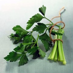 Un Jour, un jardin avec Justina