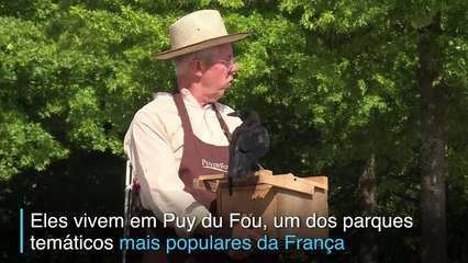 Faxineiros alados