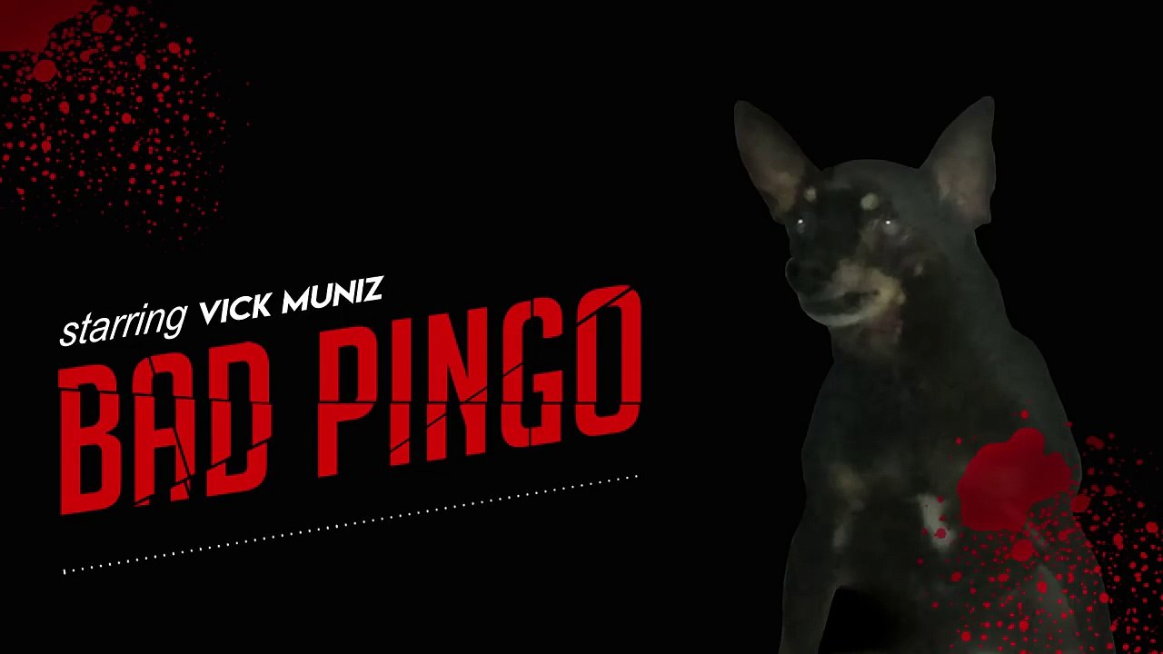 Vick Muniz - Bad Pingo (Audio)