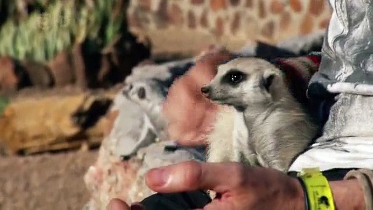 Wild Things With Dominic Monaghan S01 E04