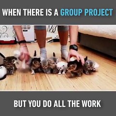 When there is a group project, but you do all the work -> Simon Desue