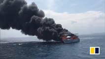 Whale-watching boat fire sparks dramatic rescue mission