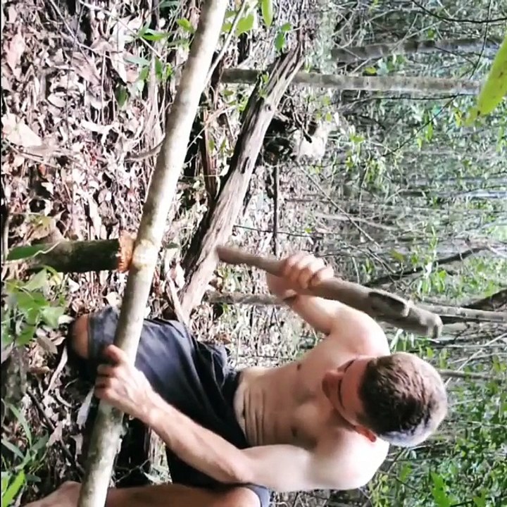 primitivetechnology1