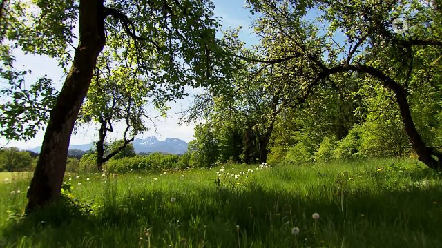 Folge 2973: Radikaler Schritt | Sturm der Liebe