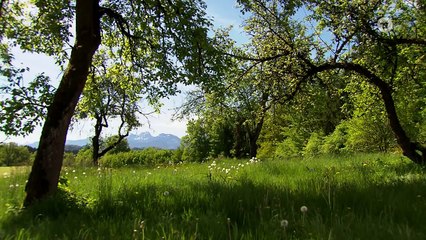 Folge 2973: Radikaler Schritt | Sturm der Liebe