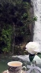 ان مع العسر يسرا ..اسعد الله صباحكم ❤