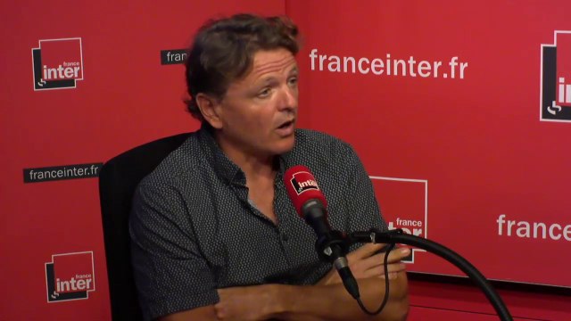 Axel Decourtye : 40% des espèces d'abeilles sauvages sont en voie de disparition