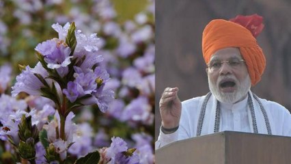 PM Modi ने Red Fort से किया नील कुरिंजी फूल का जिक्र, जानें क्या है वजह | वनइंडिया हिंदी