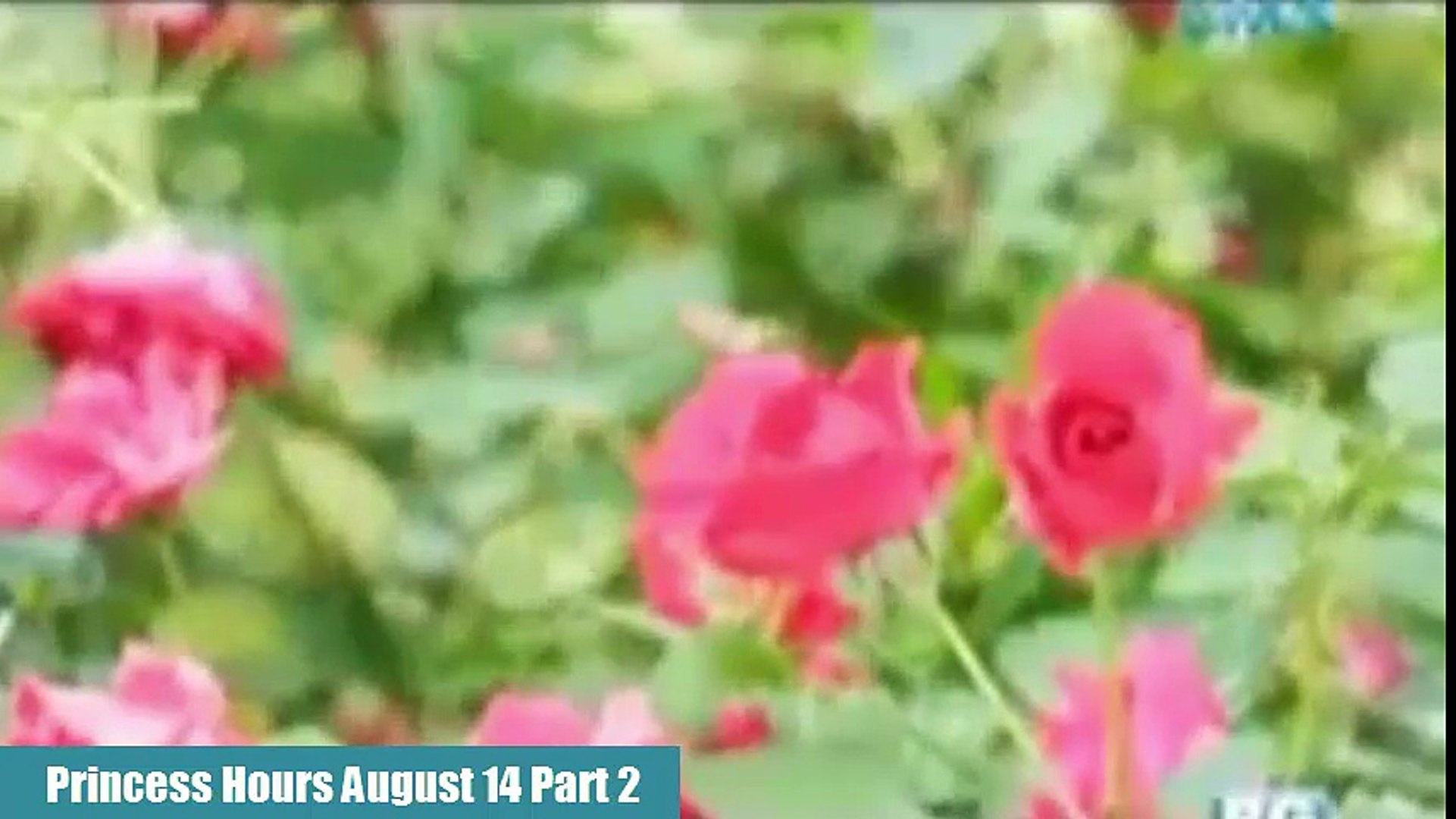 Princess Hours August 14, 2018 - Tagalog Dubbed Part 2