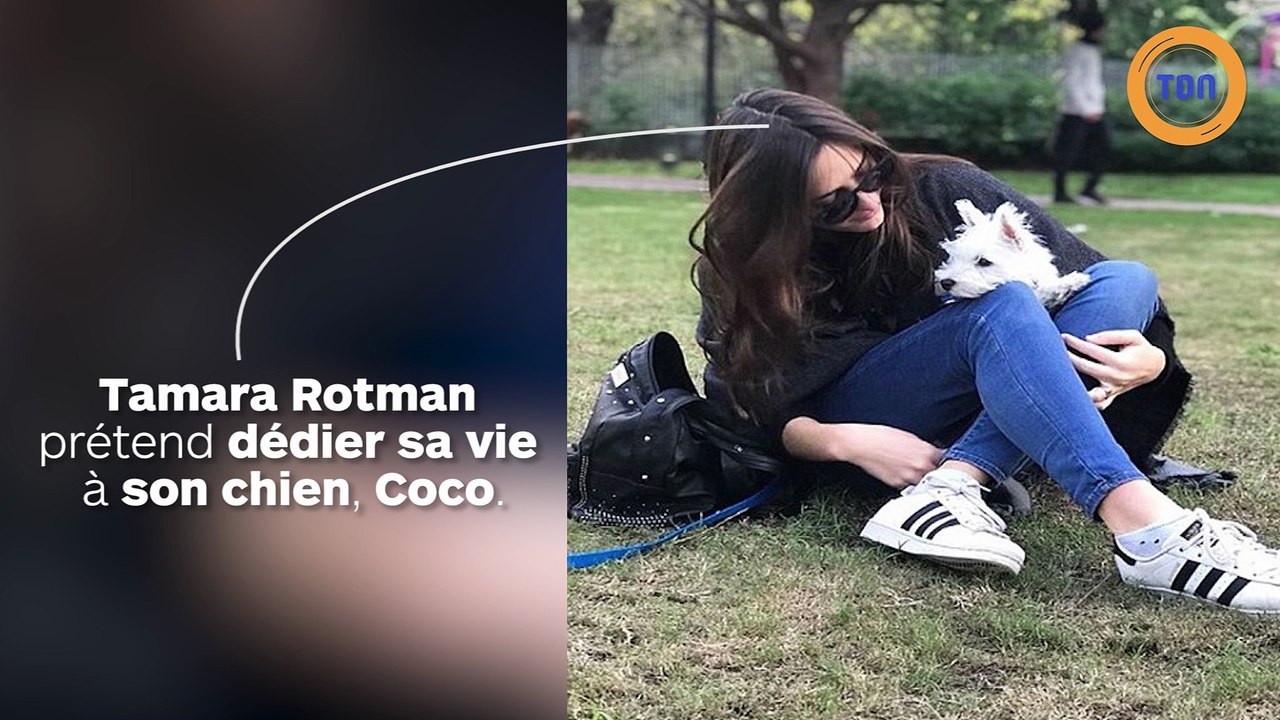 Il met son chien dans une machine à laver pour le buzz