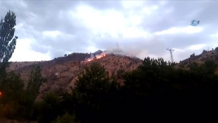 Batman'daki Orman Yangını Kontrol Altına Alındı