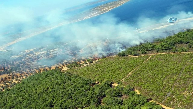 Cunda Adası'nda orman yangını