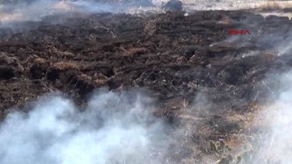 Van Yanan Toprak Üzerinde Balık Pişirdiler Hd