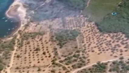Cunda Adası'nda Orman Yangını