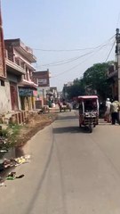 A horse running free through the streets of an indian village - GET OUT THE WAY!