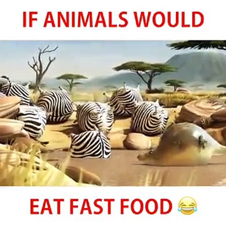If Animals would eat Fast Food(very funny)