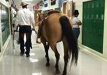 Horse Trots With Unbridled Enthusiasm Through Middle School on Kids' First Day Back