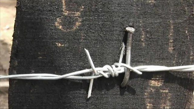 Дания построит забор на границе с Германией