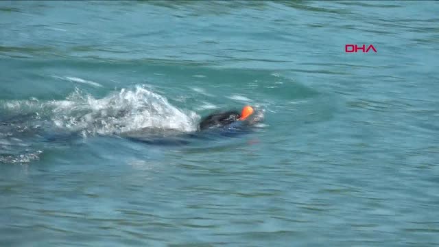 Muğla Marmaris'te Kıyı ve Deniz Dibi Temizliği Hd