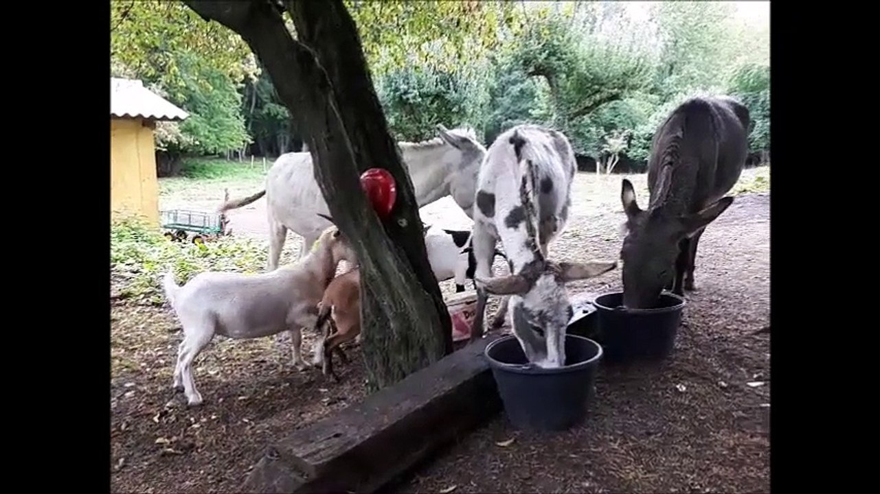 LE FERME DU BONHEUR