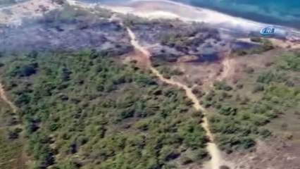 Cunda Adası'nda orman yangını