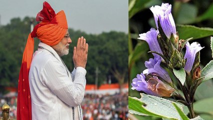 குறிஞ்சி மலர் பற்றி பேசிய பிரதமர் மோடி- வீடியோ