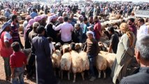 Fırat Kalkanı bölgesinde Kurban Bayramı hareketliliği - AZEZ