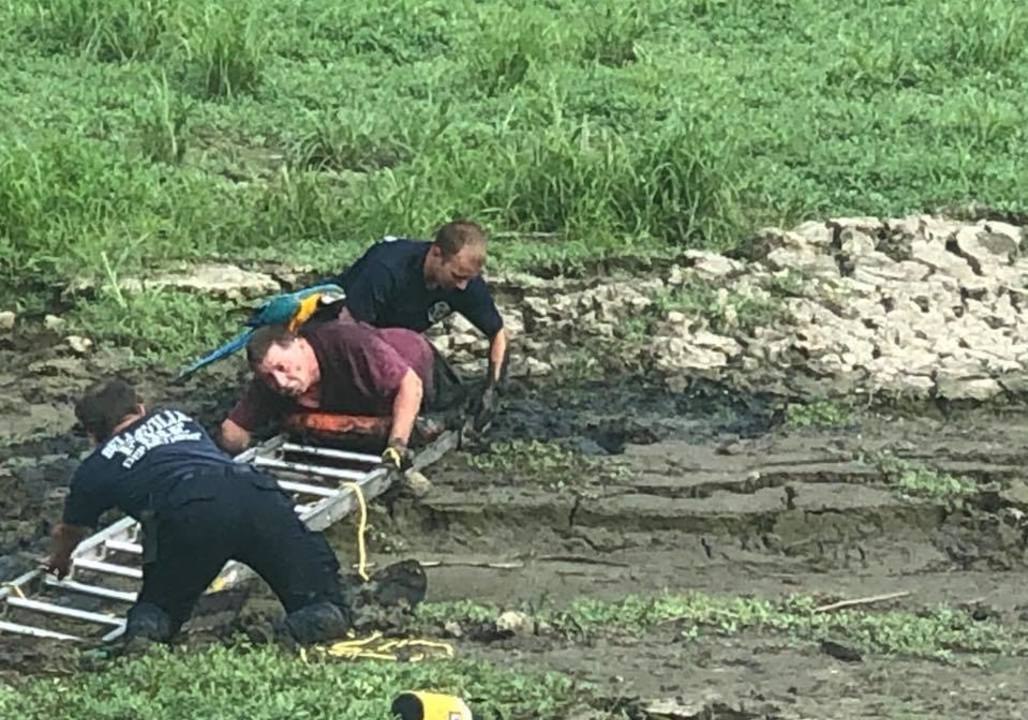 Illinois Firefighters Rescue Man Stuck in Mud While Parrot Perched on His Shoulder Watches
