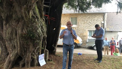 Record d’Europe d’un concert donné dans le creux d’un arbre