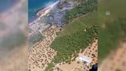 Ayvalık'ta orman yangını (2) - BALIKESİR