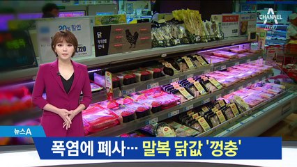 연일 폭염에 닭 가격 ‘꿈틀’…치킨값 또 오르나