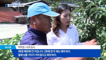 폭염 속 타들어가는 농작물…추석 물가 ‘비상’
