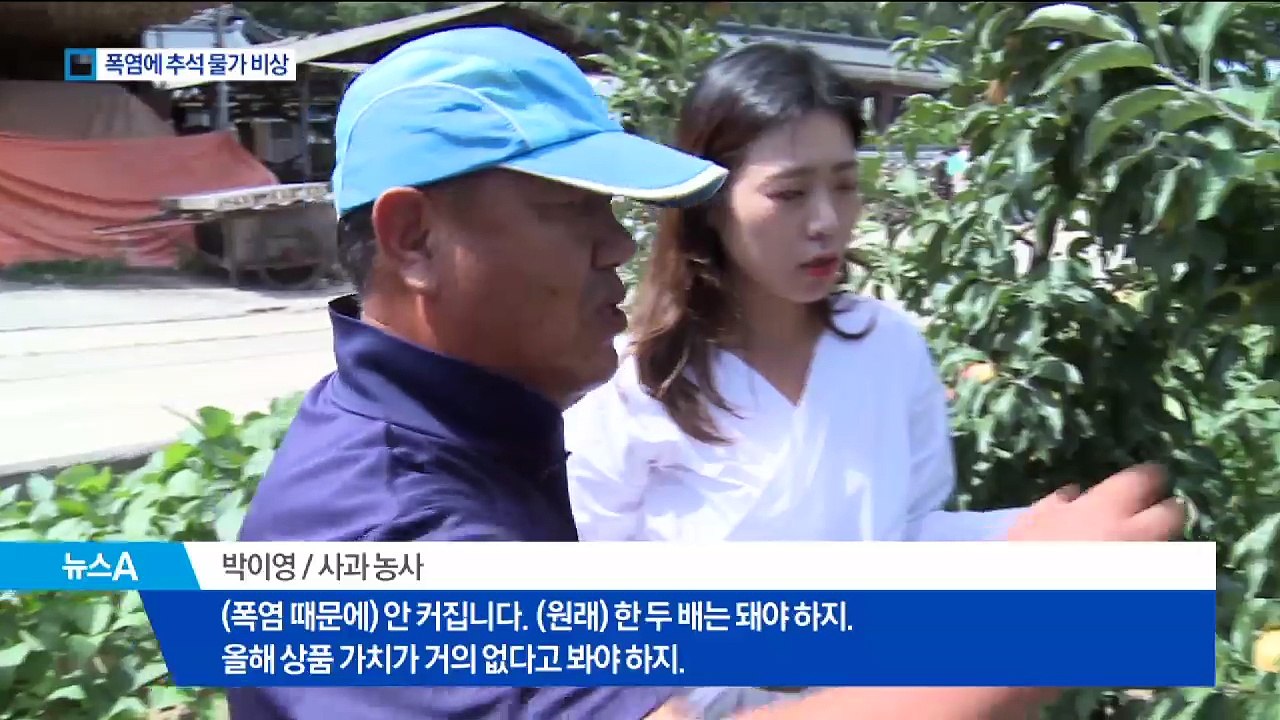 폭염 속 타들어가는 농작물…추석 물가 ‘비상’