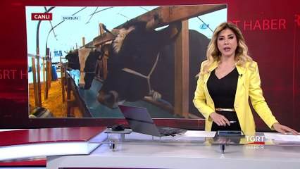 Sahte Para İşte Böyle Anlaşılıyor