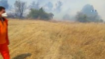 Bolu'da Orman Yangını... Bölgeye Çok Sayıda İtfaiye Ekibi Sevk Edildi