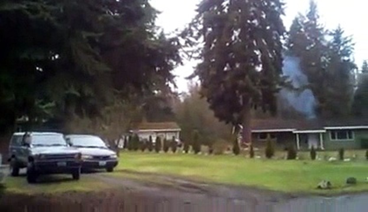 Huge Tree Fell Down The Wrong Way