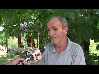 Kërkohet zgjidhje për ndalesën nga Rusia për eksportin e pjeshkave