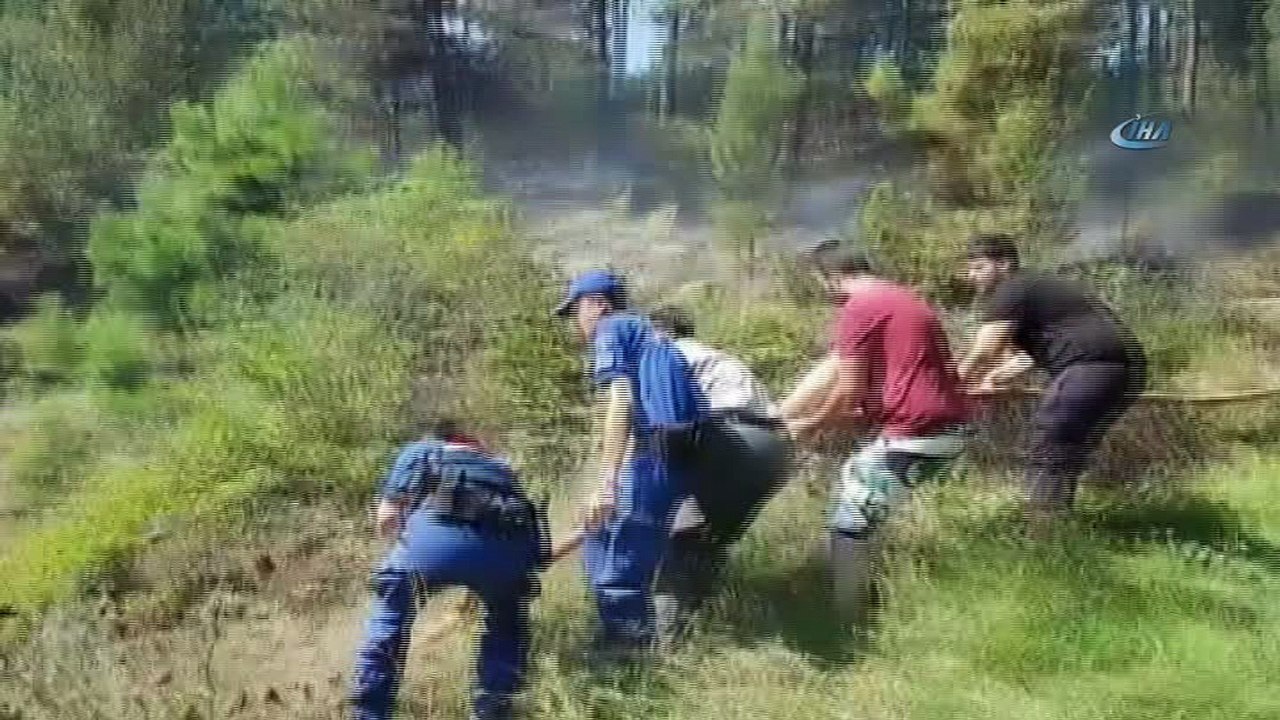 Düzce’de ormanlık alanda yangın