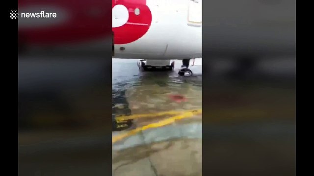 Planes submerged in floodwaters after torrential rain