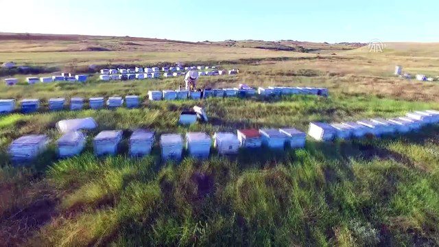 Gezgin arıcıların 8 aylık zorlu mesaisi (2) - KIRKLARELİ