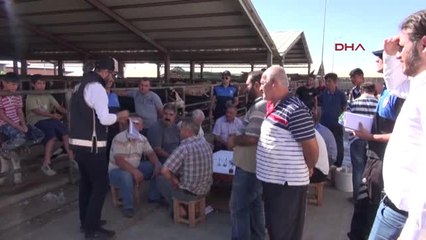 Adıyaman Polisten Kurbanlık Satıcılarına Sahte Parayı Bulan Kalem