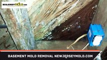 Basement Mold Removal In Brick NJ 732-504-3743 NewJerseyMold.com