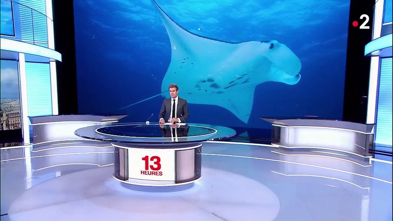 Méditerranée : alerte aux raies venimeuses