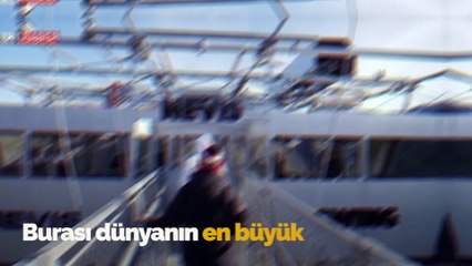 Yeni Zelanda'nın yeni ilgi odağı insan mancınığı