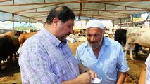 Türkiye Kasaplar Odası Genel Başkan Yardımcısı Yardımcı'dan, marketlere minyatür koçlu gönderme