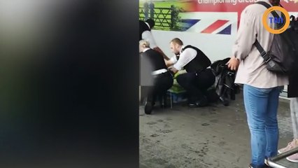 Pitbulls tasés par la police