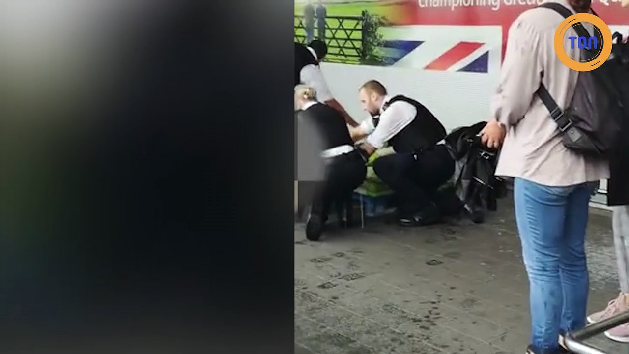 Pitbulls tasés par la police